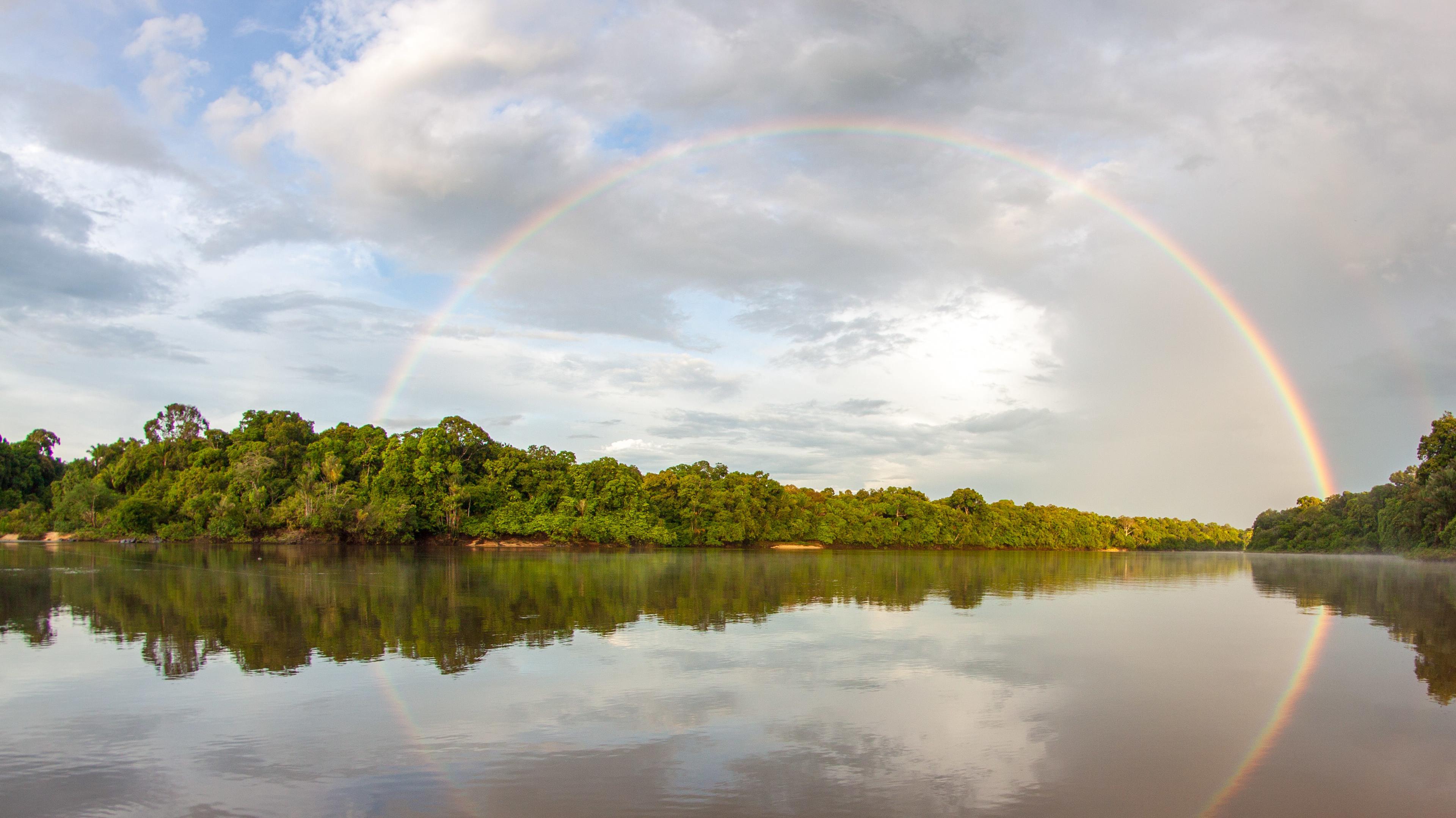 The Essequibo River, Guyana