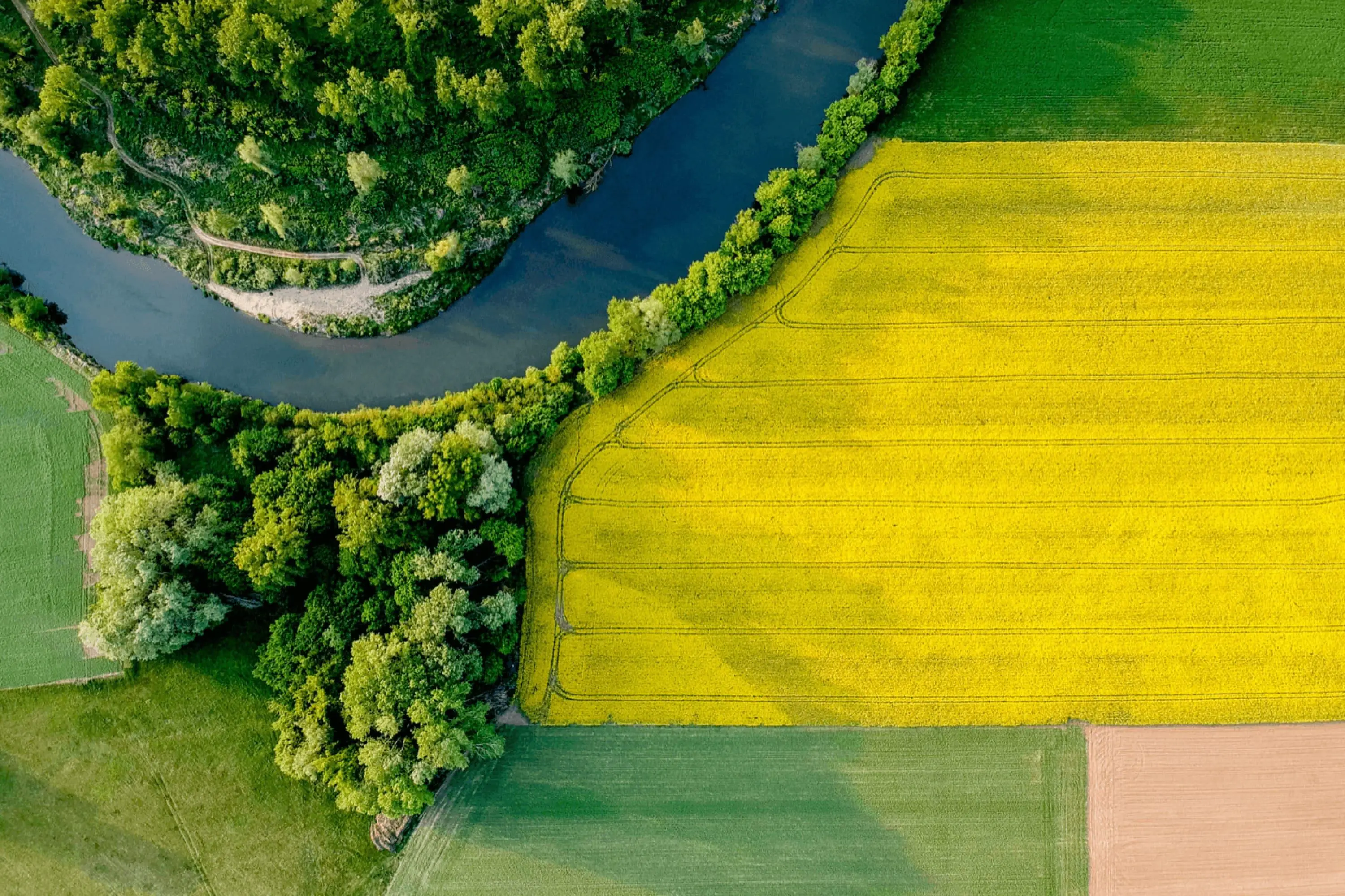 Aerial photo of fields and river