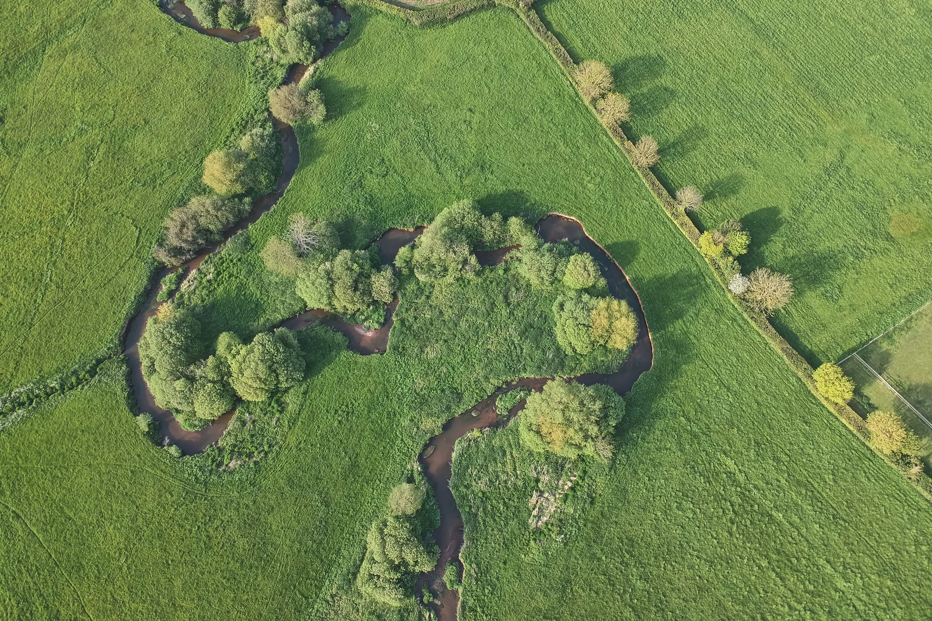Aerial photo of greenspace with trees and river