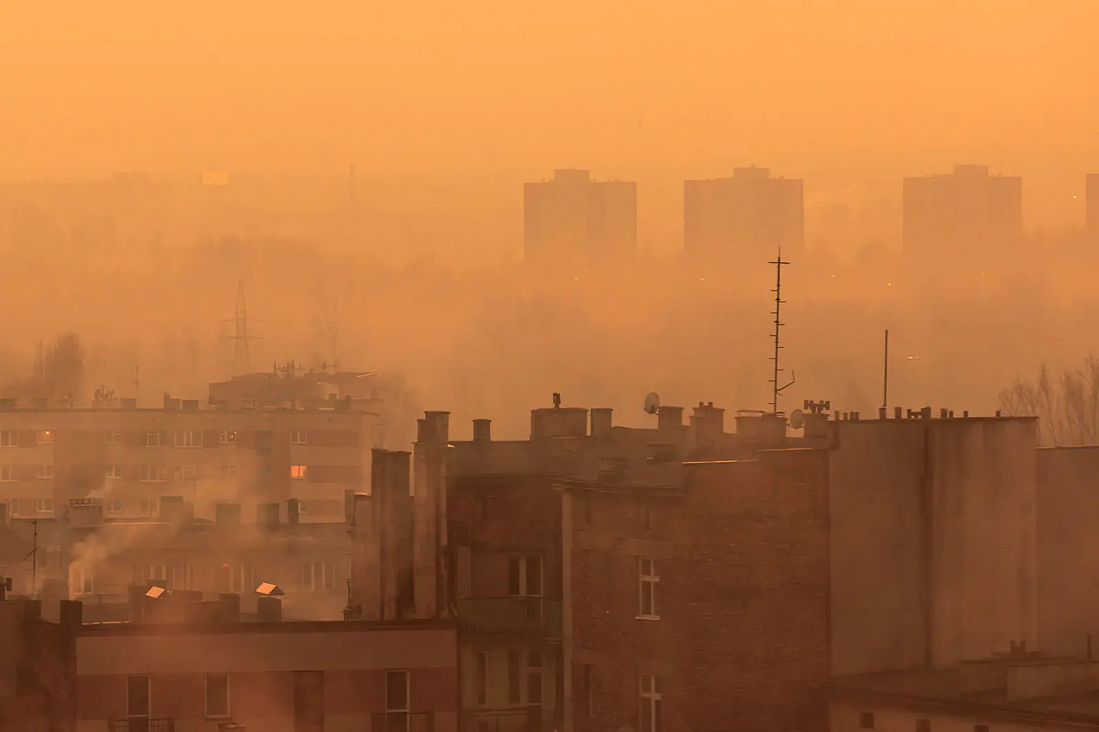 Polluted city