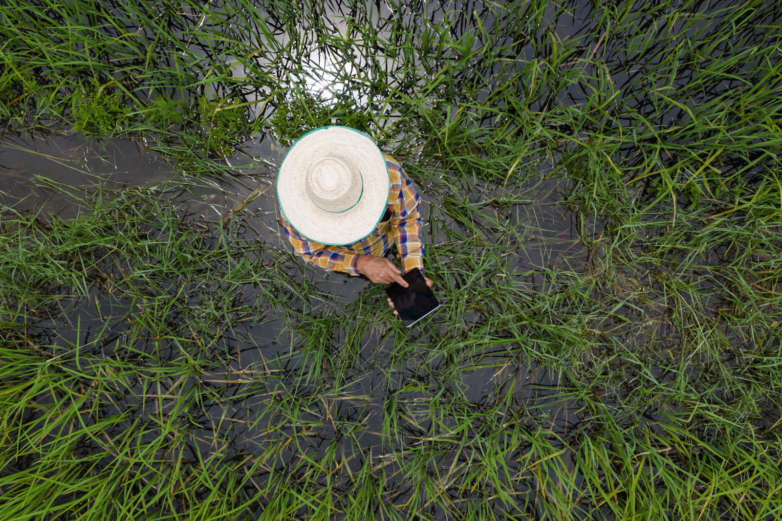 Aerial view of man on phone in flooded field