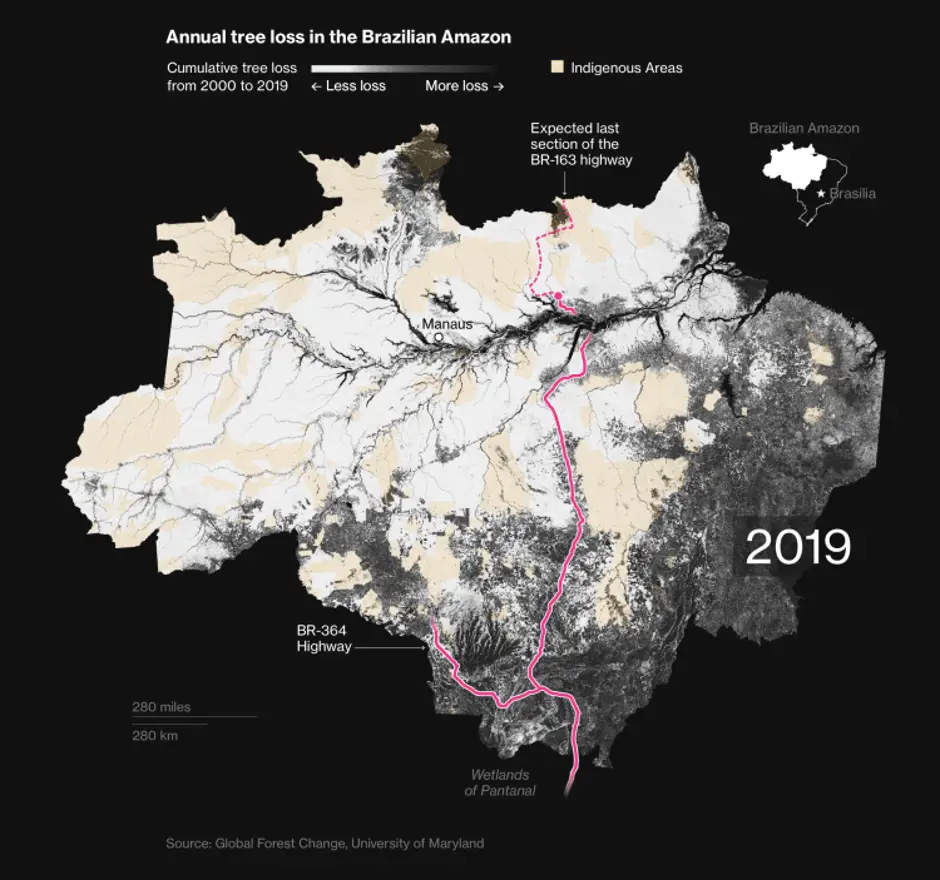 Time is running out to save the last of the world’s rainforest, Bloomberg.