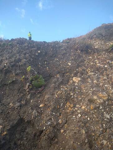 Cliff face