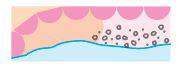 Coastal margin symbol