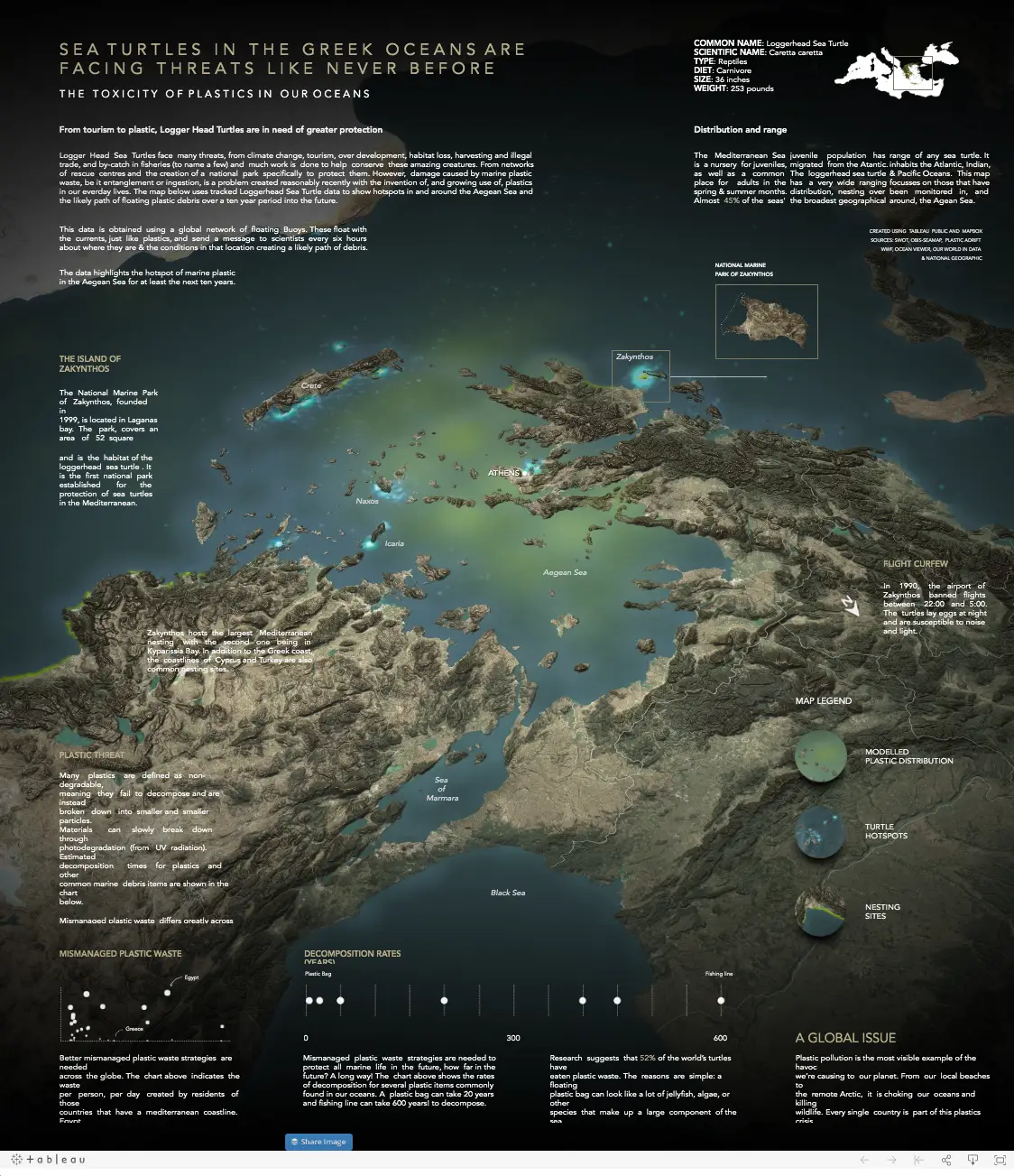 Jonni Walker's turtle visualisation