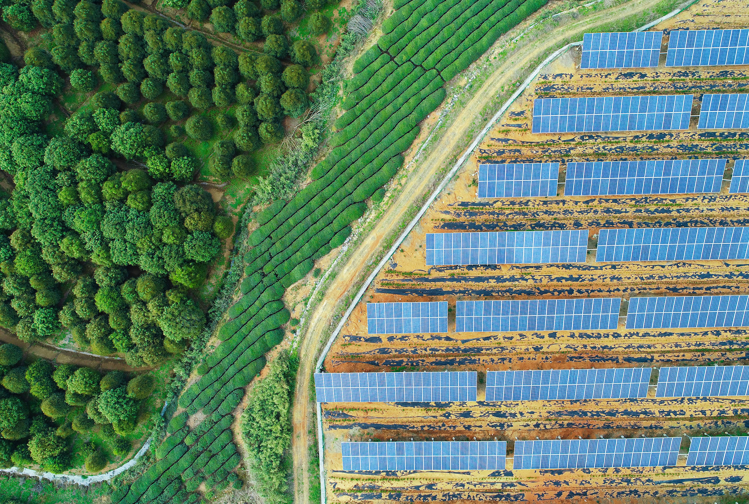 Birdseye view of solar panel farm and woodland