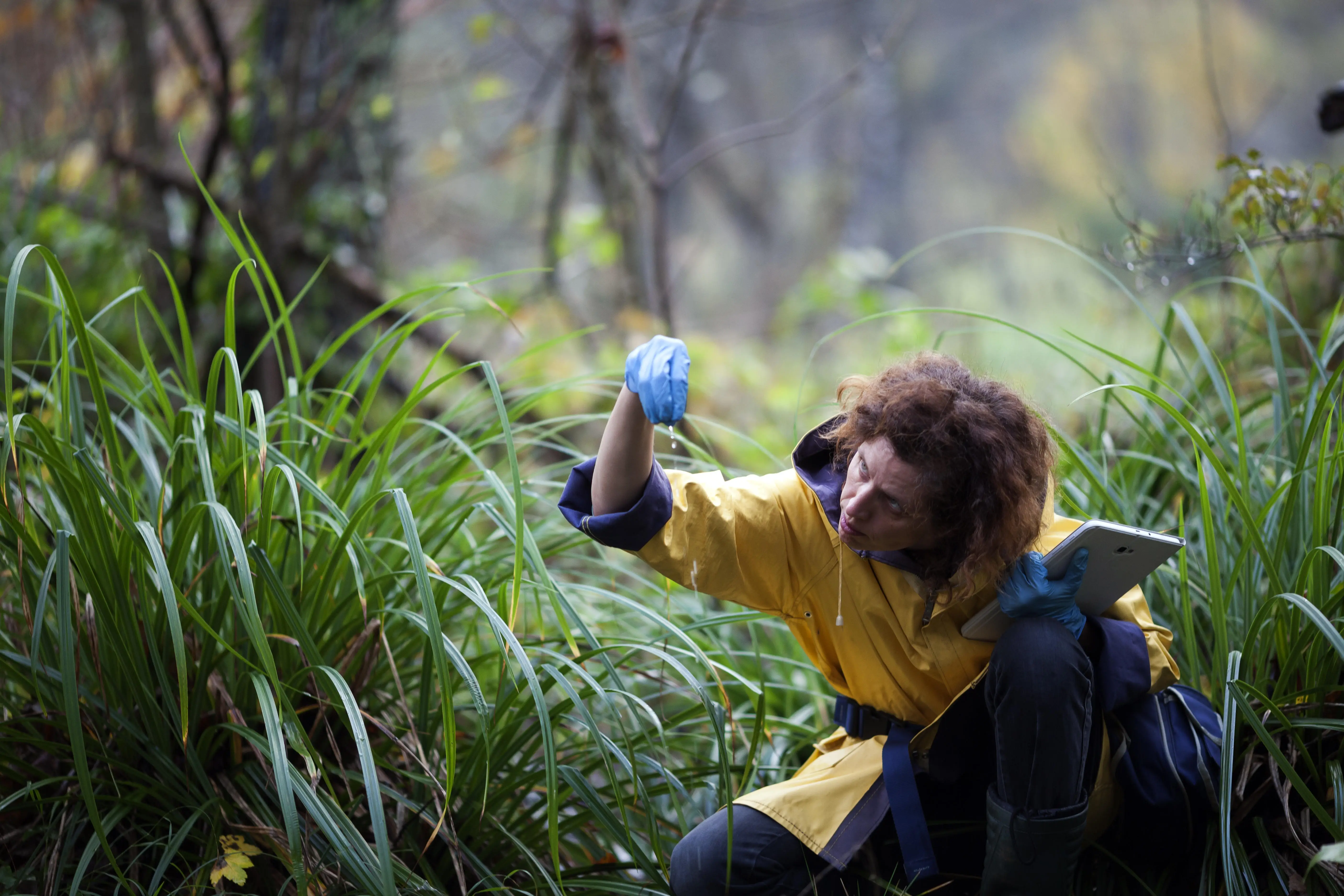women_environment_forest_green