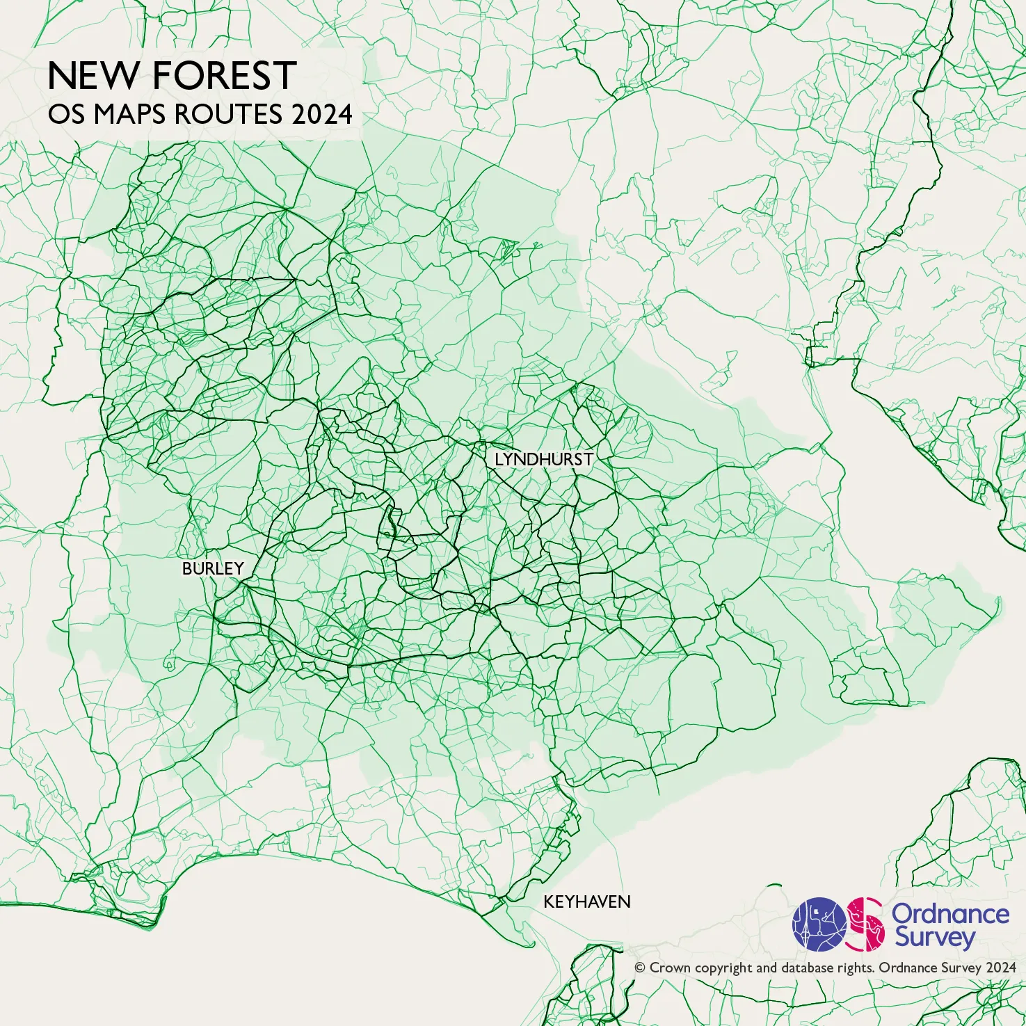 New Forest data visualisation
