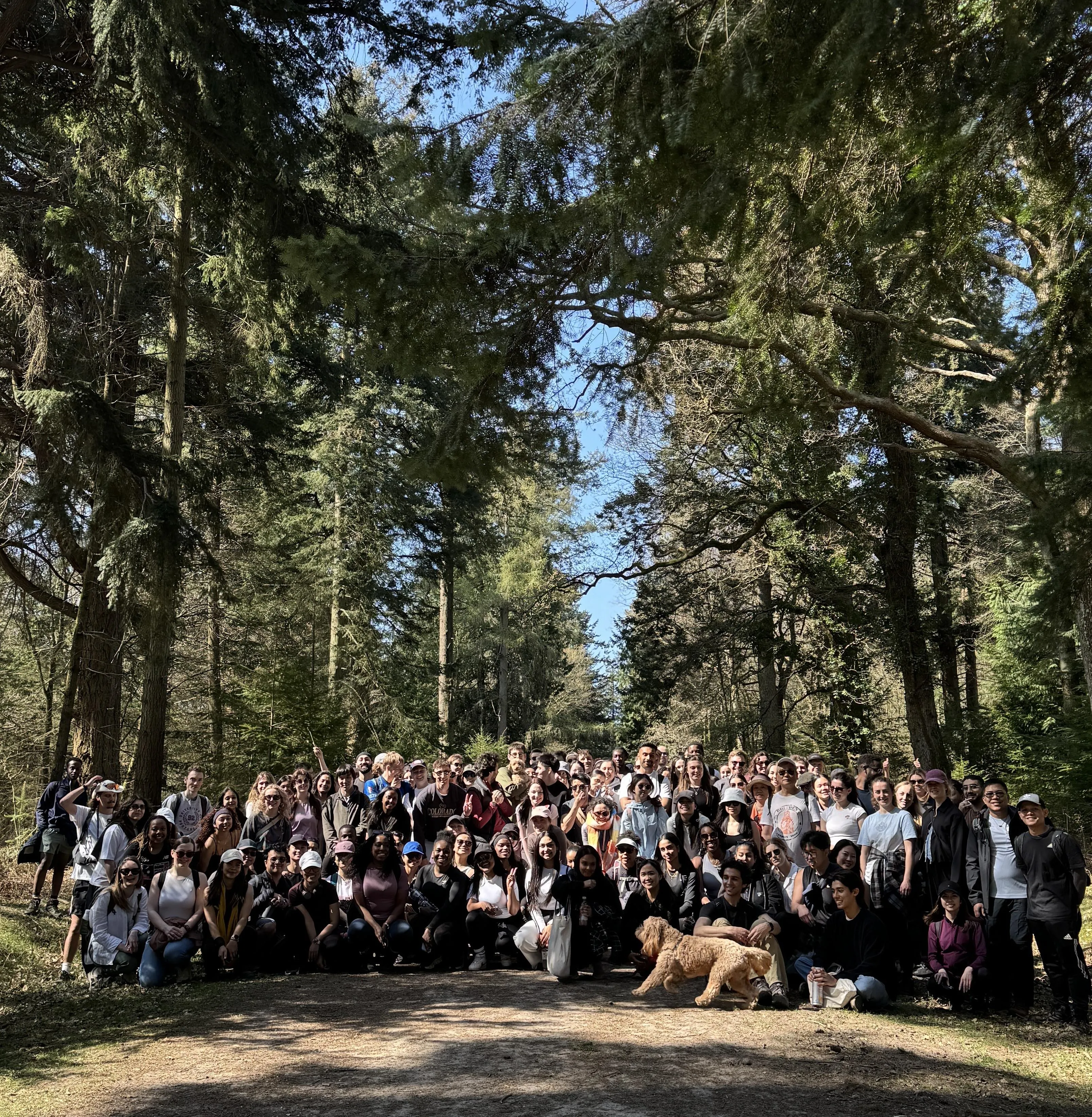 The Overground walking group has become so popular over 500 joined for a walk in the Surrey Hills.