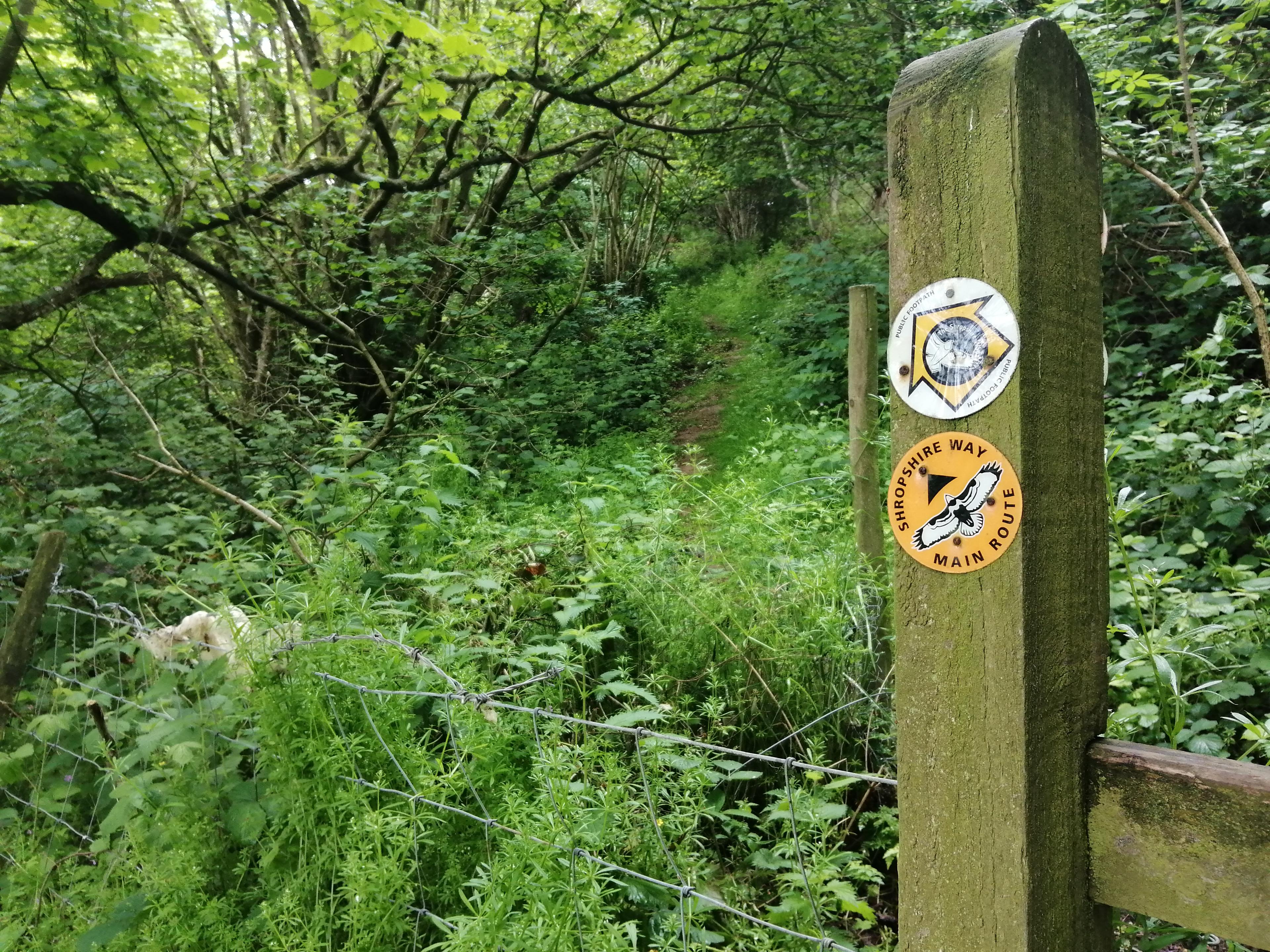 Signpost on the Shropshire Way