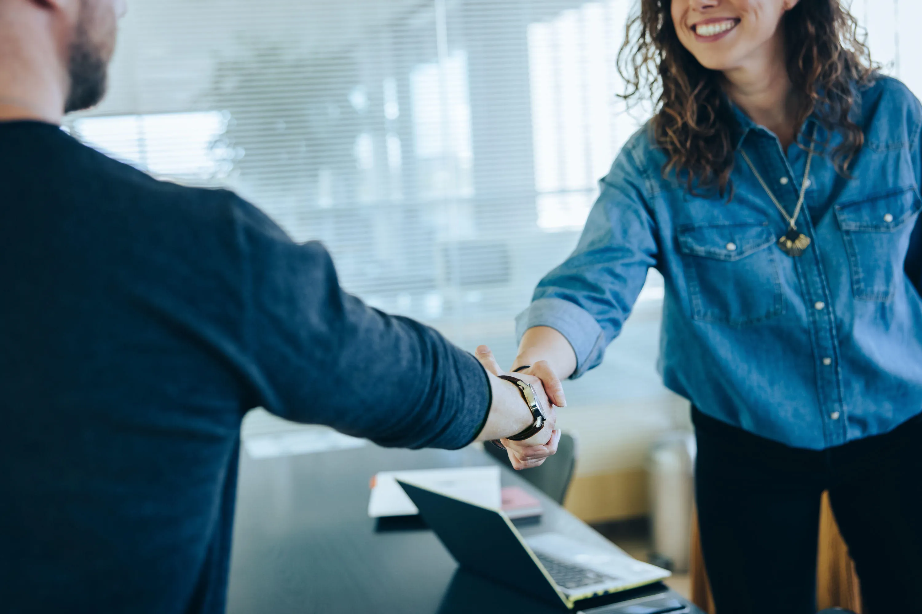 Partners shaking hands