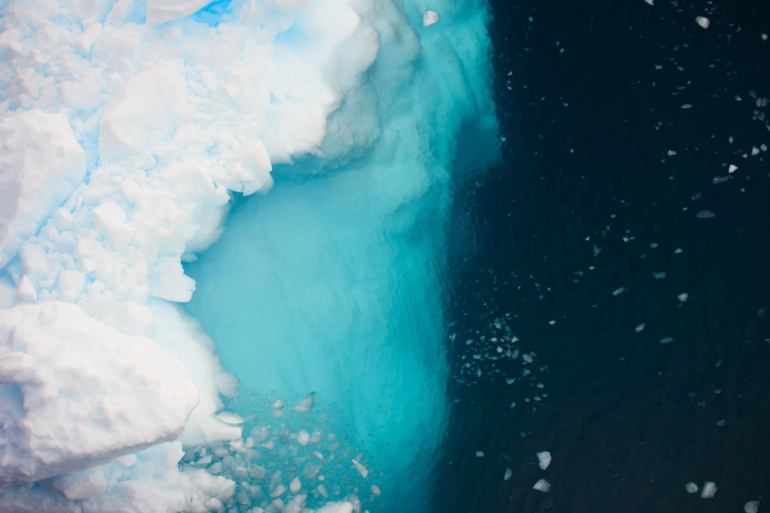 Icebergs in Antarctica