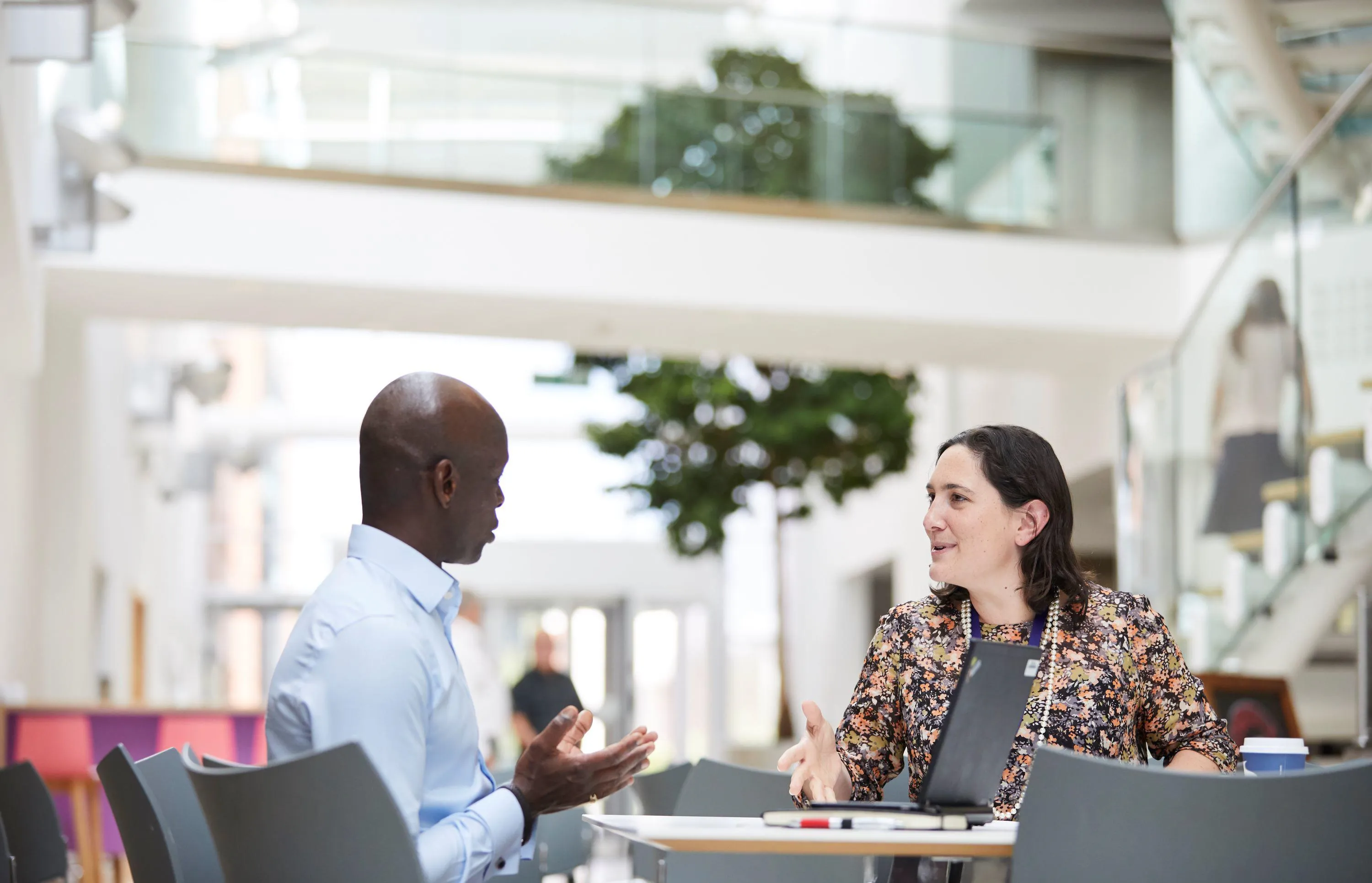 shareholder framework document